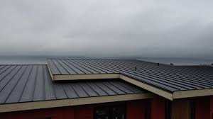 Best Metal Roofing Installation  in Zephyrhills North, FL